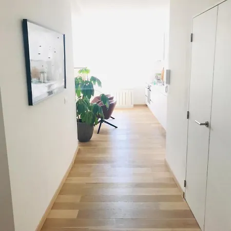 Prachtig, Gerenoveerd In Oostende
